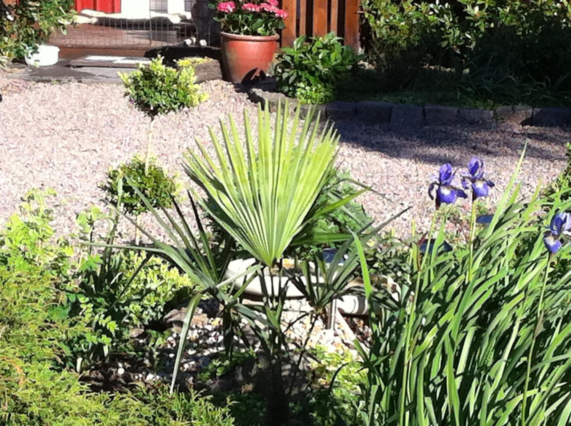 Östra Ljungby Mattisgarden Bed & Breakfast מראה חיצוני תמונה