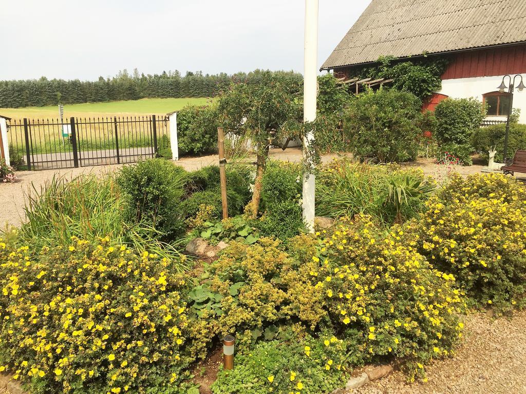 Östra Ljungby Mattisgarden Bed & Breakfast מראה חיצוני תמונה