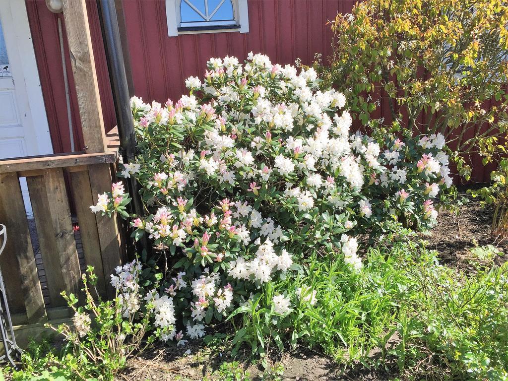Östra Ljungby Mattisgarden Bed & Breakfast מראה חיצוני תמונה