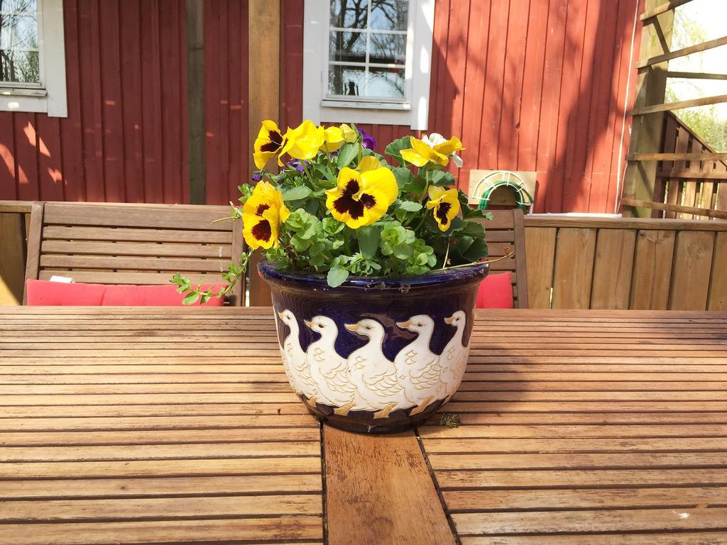 Östra Ljungby Mattisgarden Bed & Breakfast מראה חיצוני תמונה